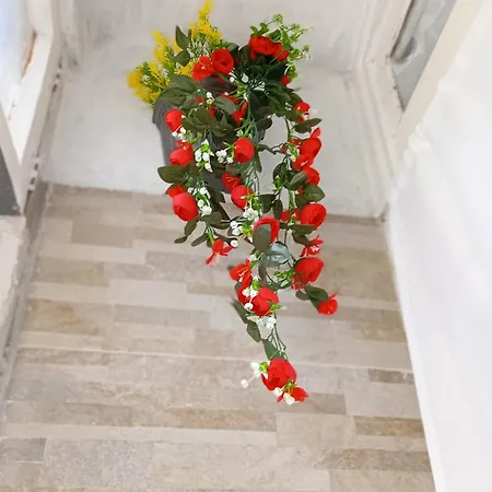 Piazza Immacolata Apartman *