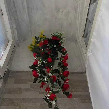 Piazza Immacolata Apartman *